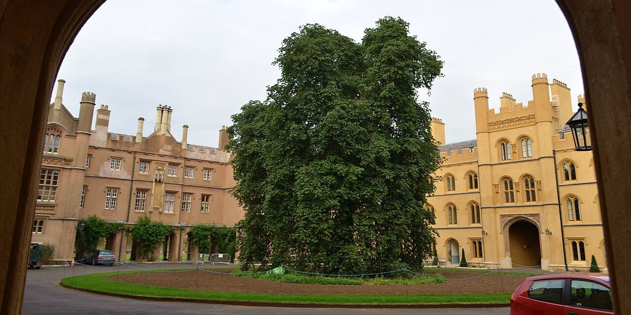 Trinity College college